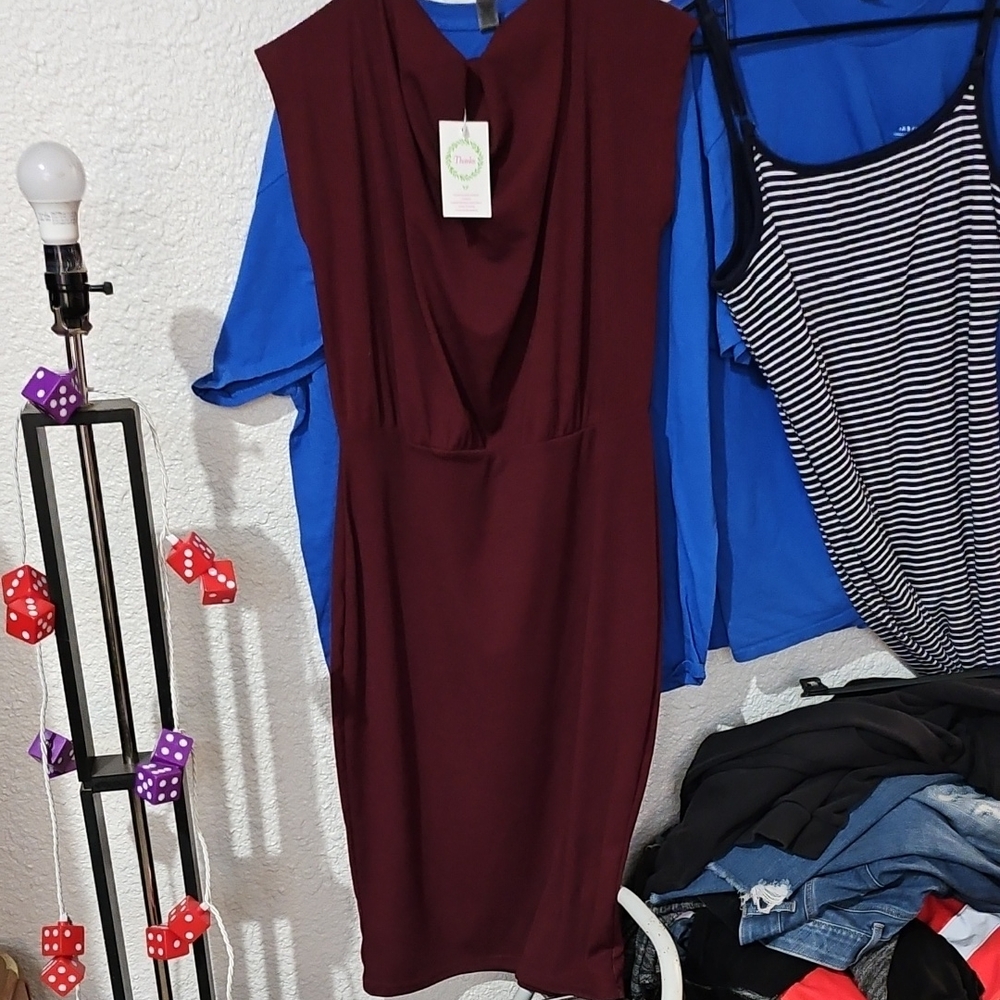 Elegant Burgundy Sleeveless Dress